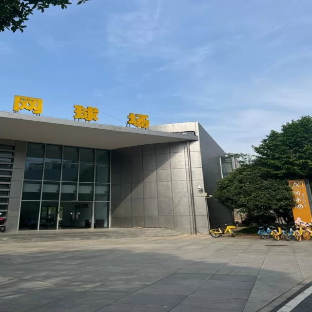 训练备战新闻聚焦：阵容解析的最新视角揭秘 专稿第12343期